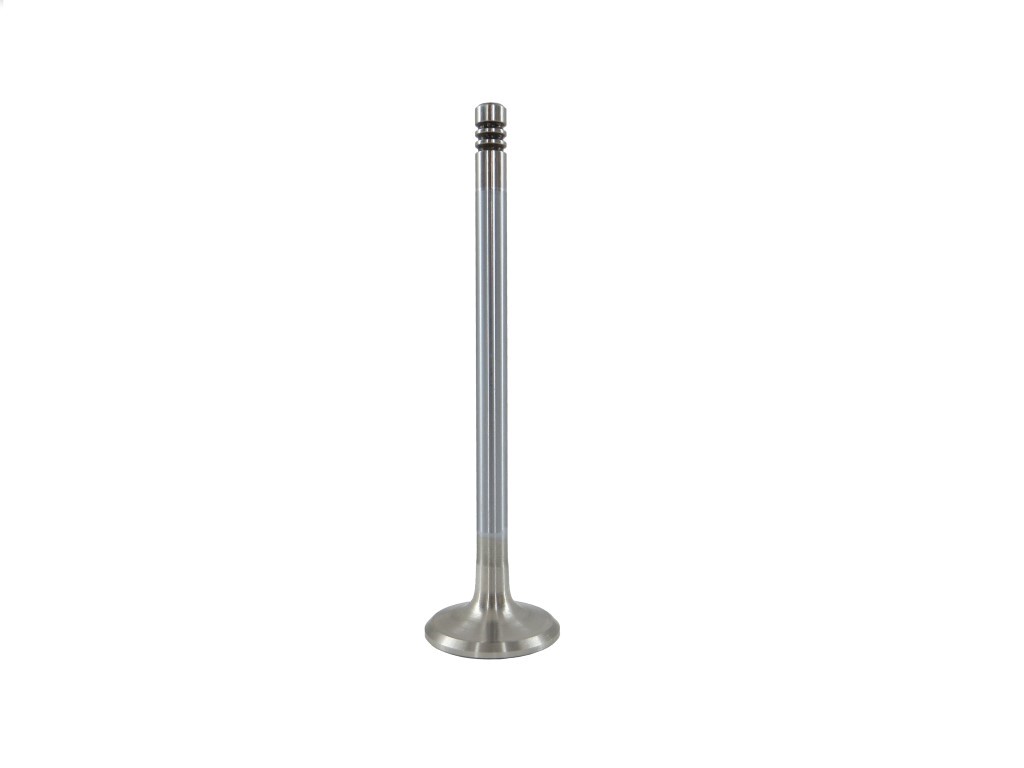 Einlassventil Auslassventil f. BMW 1er 3er 5er 7er X5 M47 N47 M57 320D 525d 530d