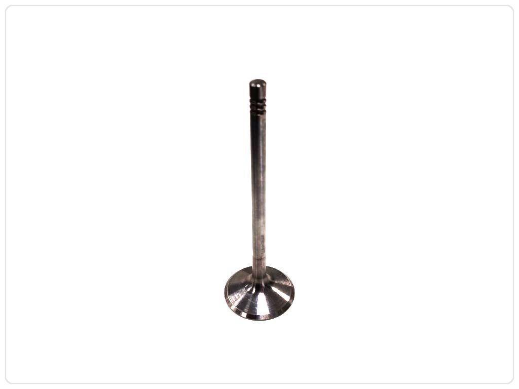 10469848Bj22qjehajipW Einlassventil für VW 1,8 2,0 TFSi TSI Gti AXX BPY BWA CAWB CBFA CCTA CCZA