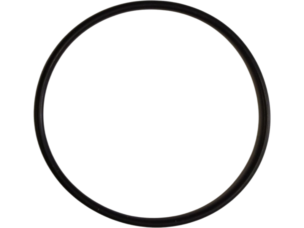 10450265 O-Ring für Ölpumpe F315307500 MM407145
