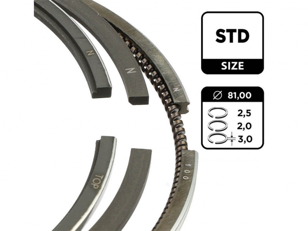 Kolbenringsatz Std für VW T4 T5 2.5 Tdi ACV AXG AXE AXD uvm